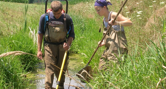 Two technicians perform electrofishing in a stream.